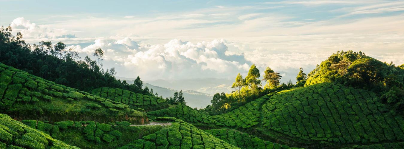 Best of Tamilnadu with Kerala 15N / 16D