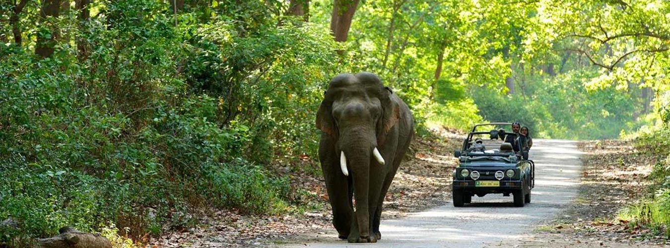 Corbett Haridwar Mussoorie and Auli 06N / 07D