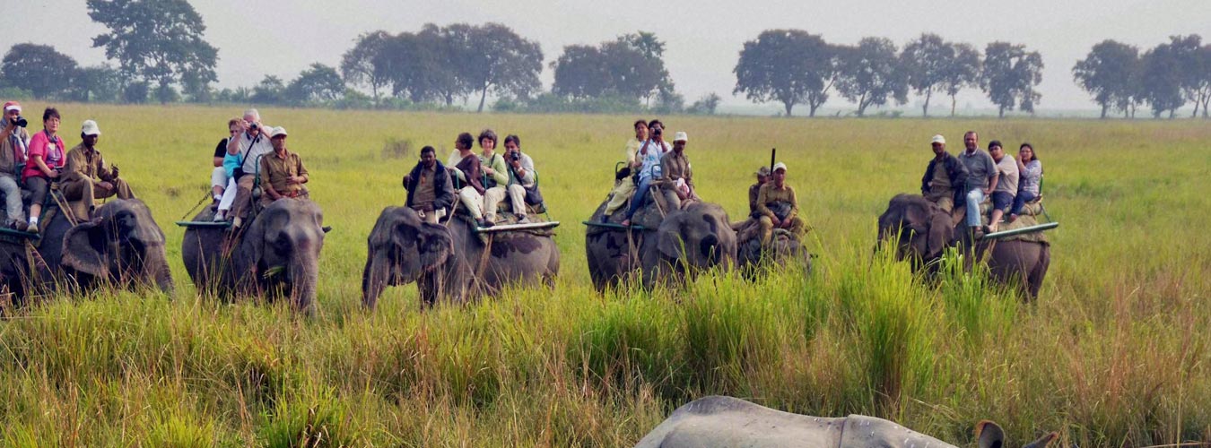 North Eastindia Tours With Wildlife 11N / 12D