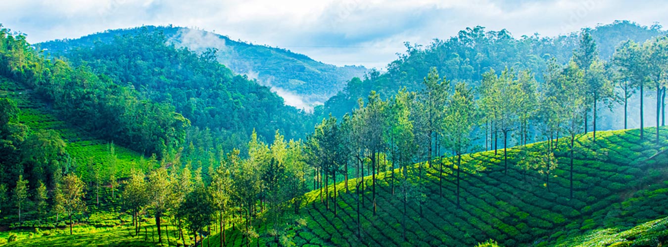 Ooty Madurai Rameswaram and Kanyakumari 06N / 07D