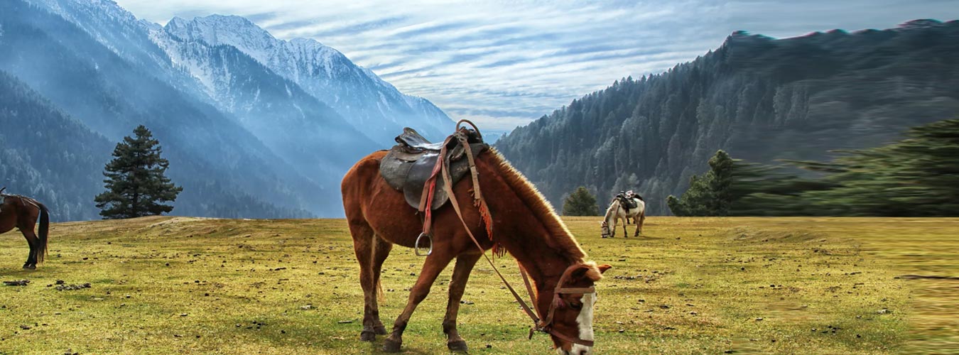 Kashmir Holiday from Jammu 06N / 07D