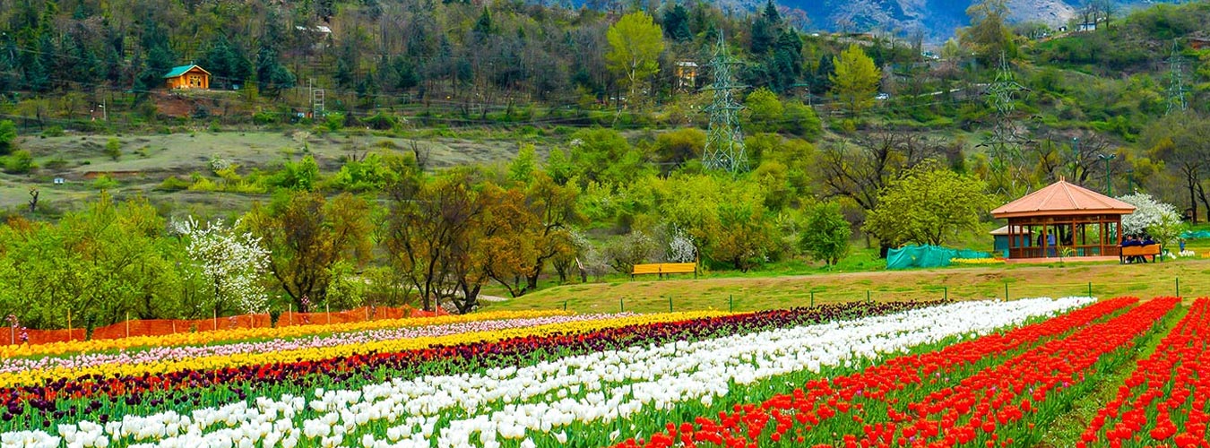 Mesmerizing Kashmir Tour from Delhi 07N / 08D