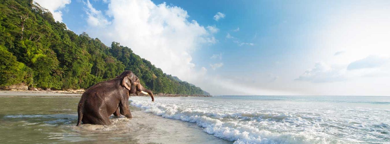 Andaman Honeymoon Vacation 04N / 05D